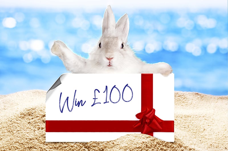 Enter our Easter Prizedraw: Easter bunny on a beach