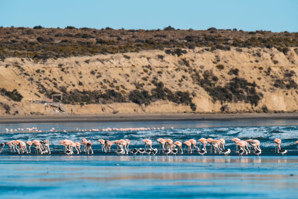 The best Autumn holiday destinations: Patagonia, Argentina