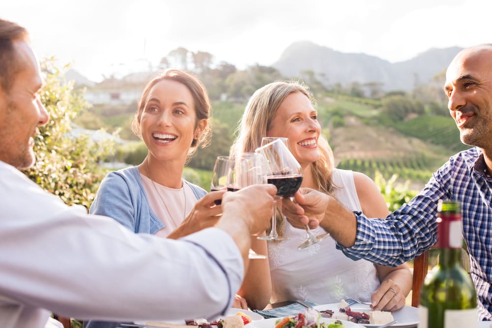 Top 5 wine tours in Europe: Mature friends enjoying wine tour on holiday