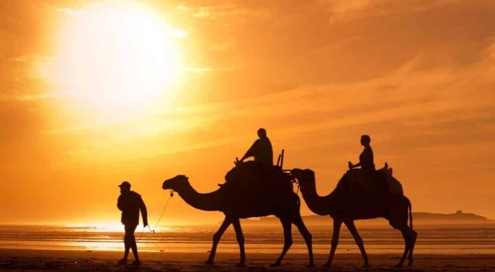 The-Best-Desert-Holiday-Destinations-on-Earth- Camel Trek