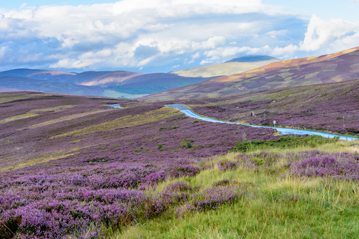 Cairngorms National Park