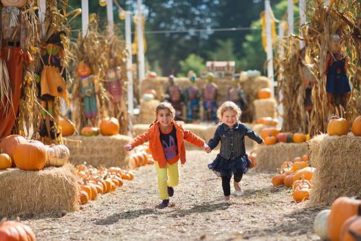 Picture shows two small children holding hands and running with joy. It is sunny, and around them are bales of hay and smiling pumpkins.