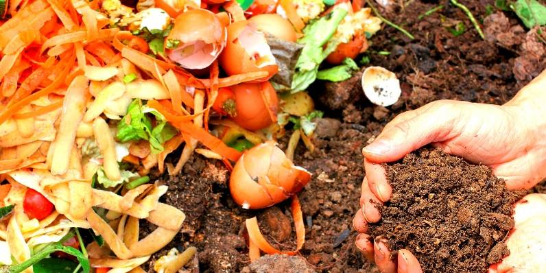 Compost