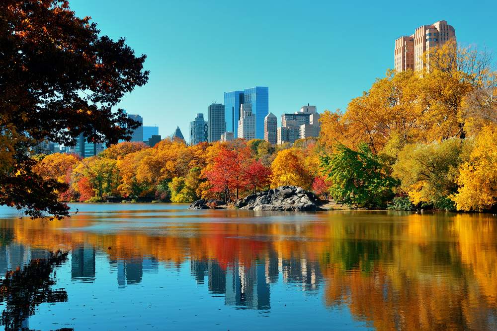 How an over 70's Couple with Cancer Attended Their Son's USA Wedding: Central Park Autumn and buildings reflection in midtown Manhattan New York City