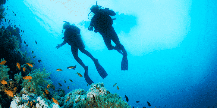 Palau-Bans-Reef-Toxic-Sunscreens-diving-AllClear-Travel