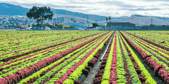 Salinas-California-AlllClear-Travel