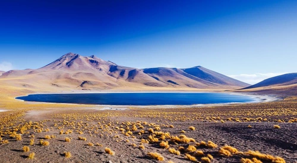 The-Best-Desert-Holiday-Destinations-on-Earth-Amazing-Lake-Miscanti-in-the-highlands-of-Chile-near-San-Pedro-de-Atacama | AllClear Travel Blog 