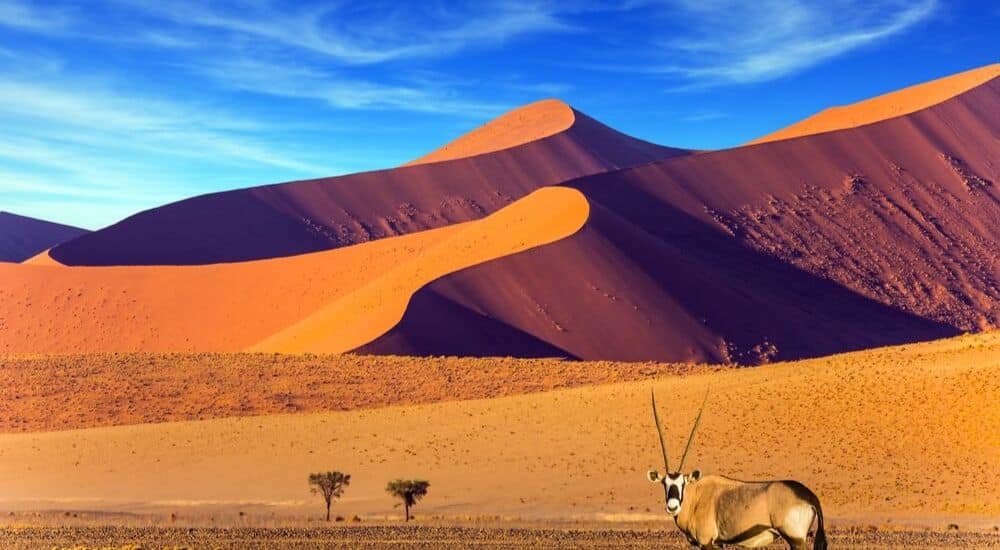 Top-5-Travel-Experiences-for-October-2019-Namibia-AllClear-Travel-Blog