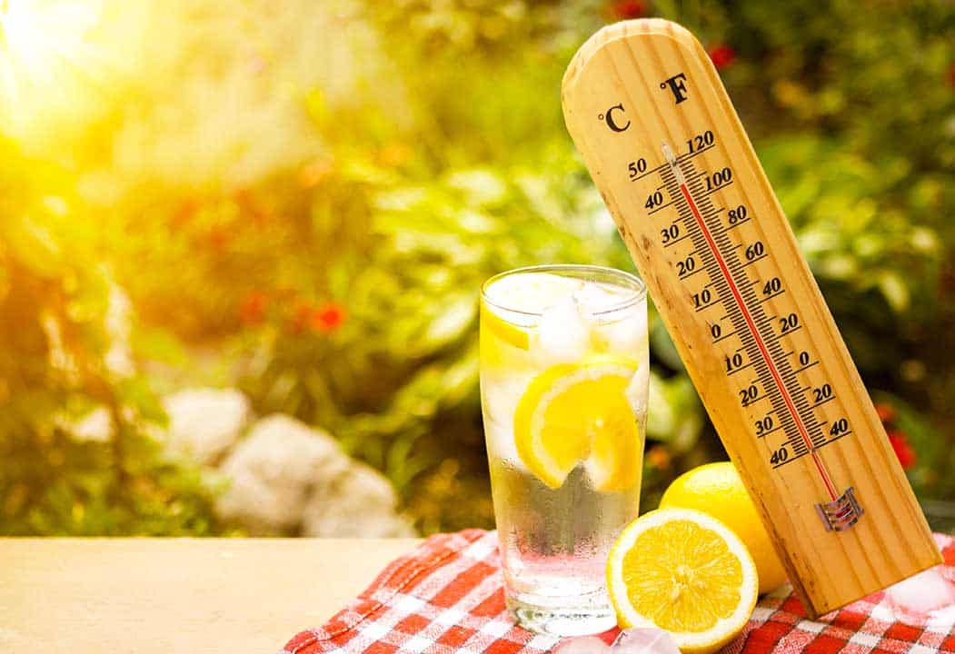 Your Guide for Coping with the Hot Weather