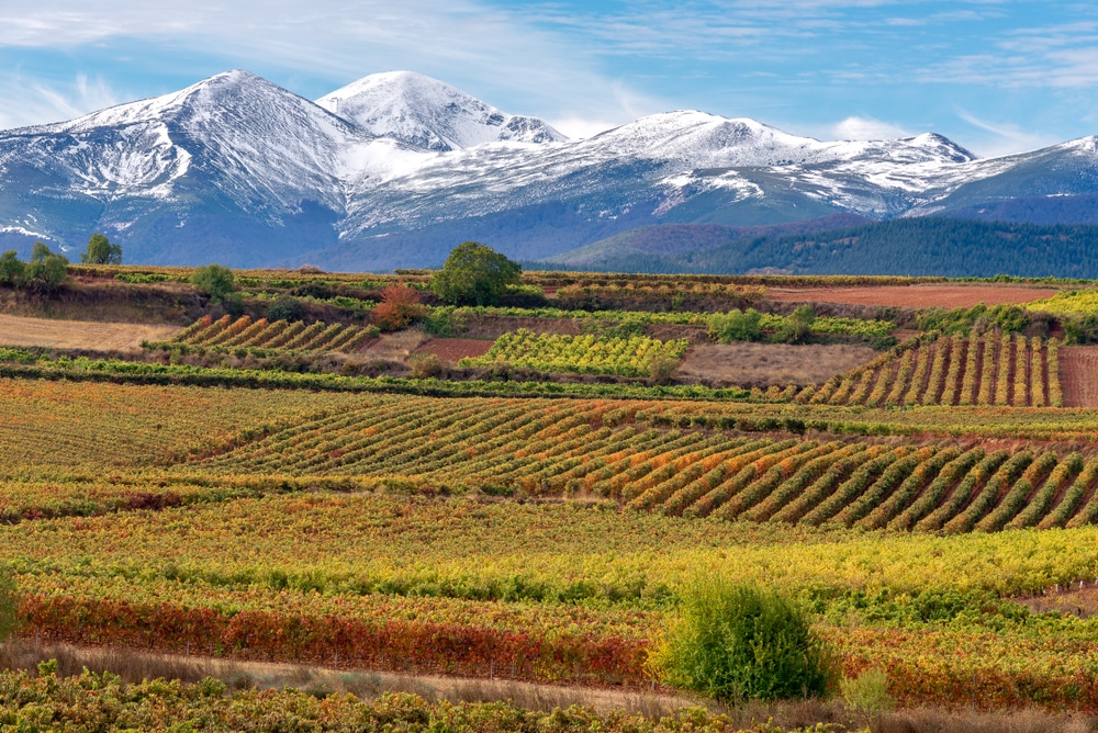 Top 5 wine tours in Europe: Vineyards with San Lorenzo mountain as background, La Rioja, Spain