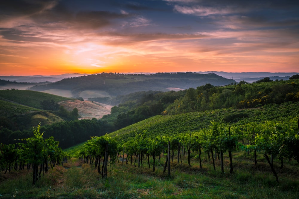 Top 5 wine tours in Europe: Sunrise among the vineyards of the beautiful Val d'Elsa in Tuscany