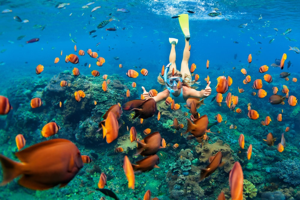 Why a bucket list is so important and how to plan one: Woman deep sea diving in coral reel