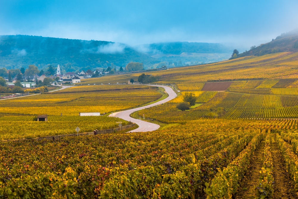 Top 5 wine tours in Europe: Vineyards in the autumn season, Burgundy, France